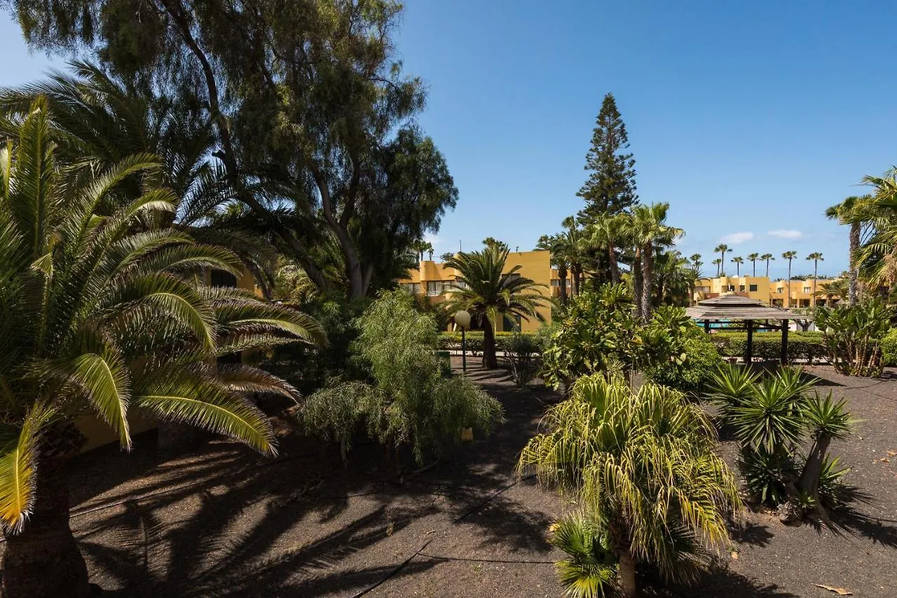 Blue Pearl Apartman Corralejo Spanyolország